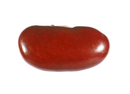 kidney-bean