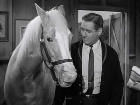 Mr. Ed