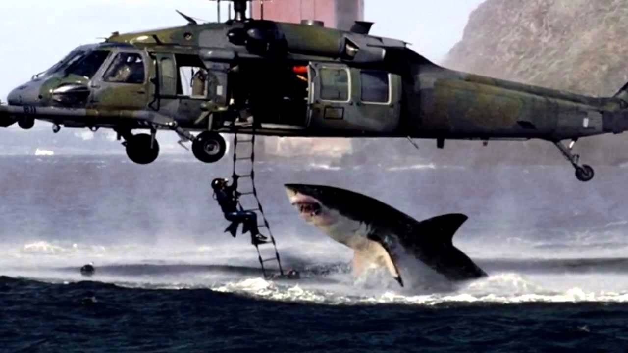phony shark attack