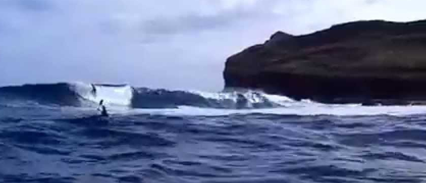 surfing crow