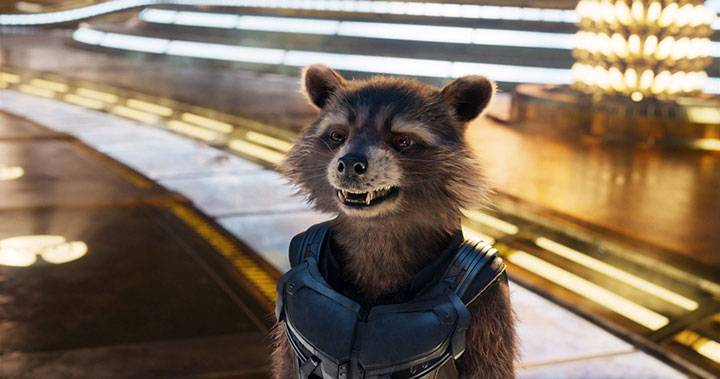 rocket raccoon