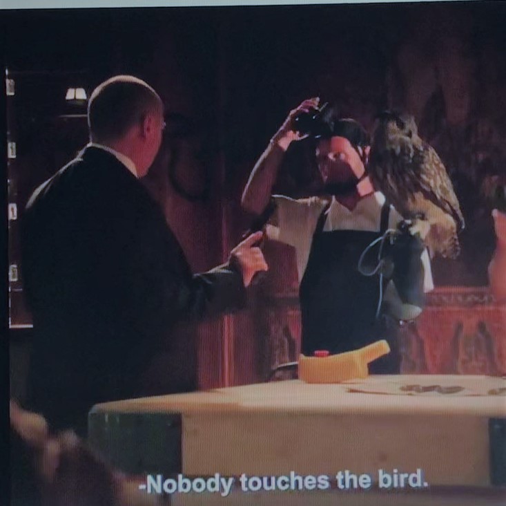 man with night vision goggles has a large owl perched on his arm